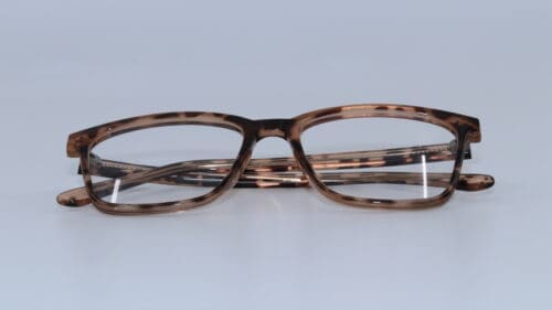G80320454